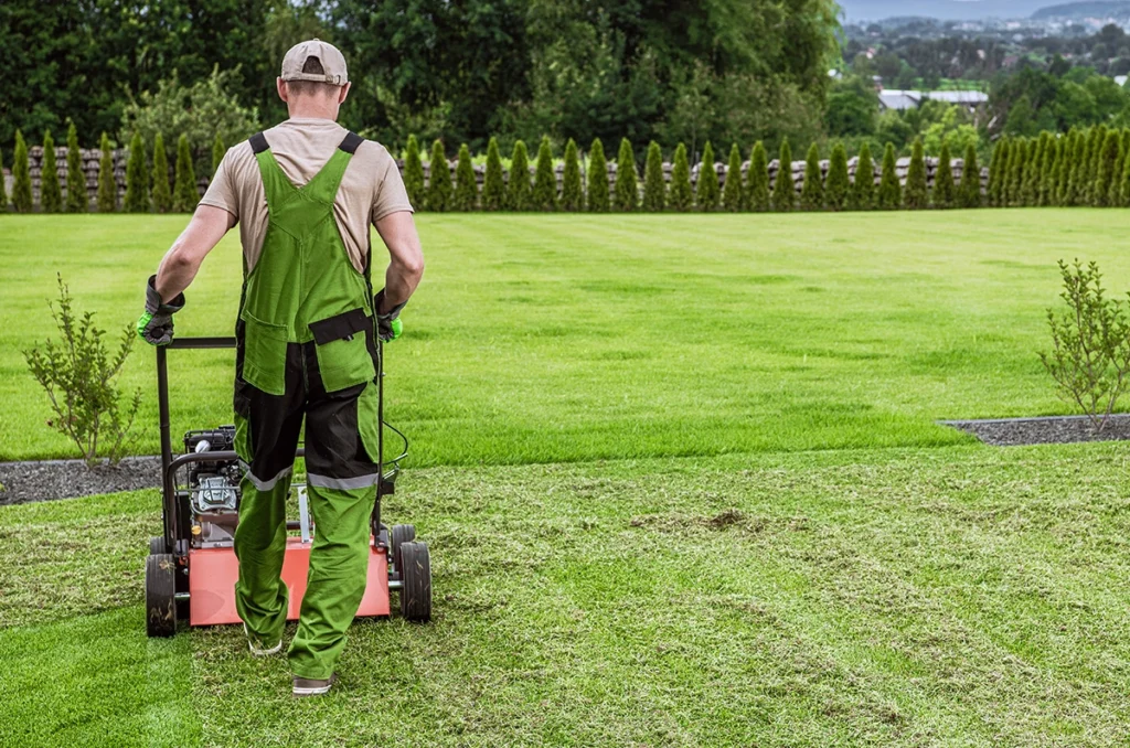 Professional lawn mowing service as part of garden and outdoor care
